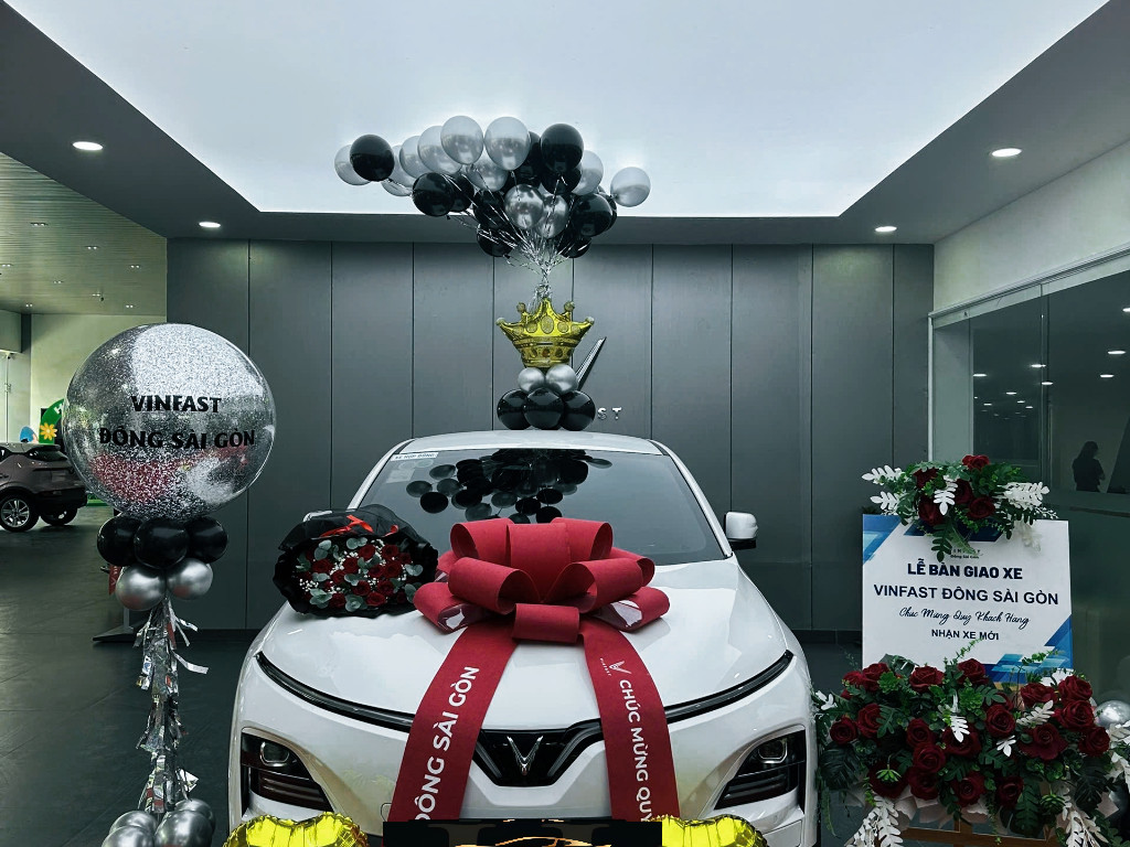 Vinfast VINFAST VF6 PLUS 2024