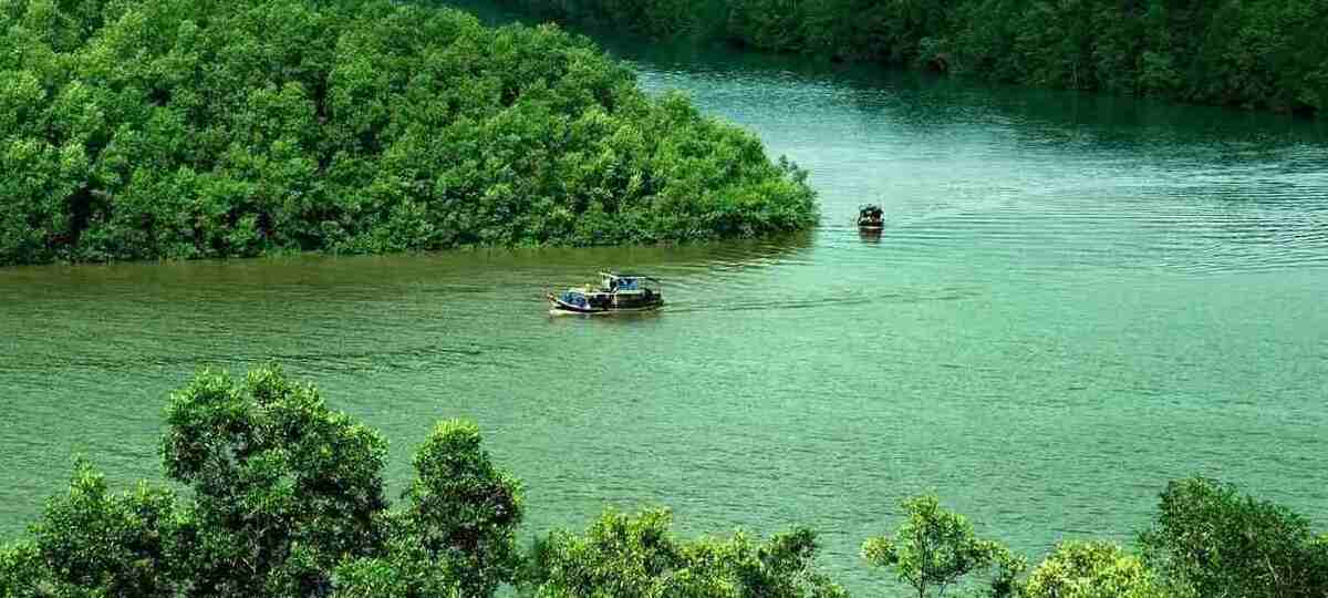 Cần Giờ cũng là sự lựa chọn lý tưởng cho mọi người vào dịp cuối tuần nếu không muốn ra khỏi Sài Gòn