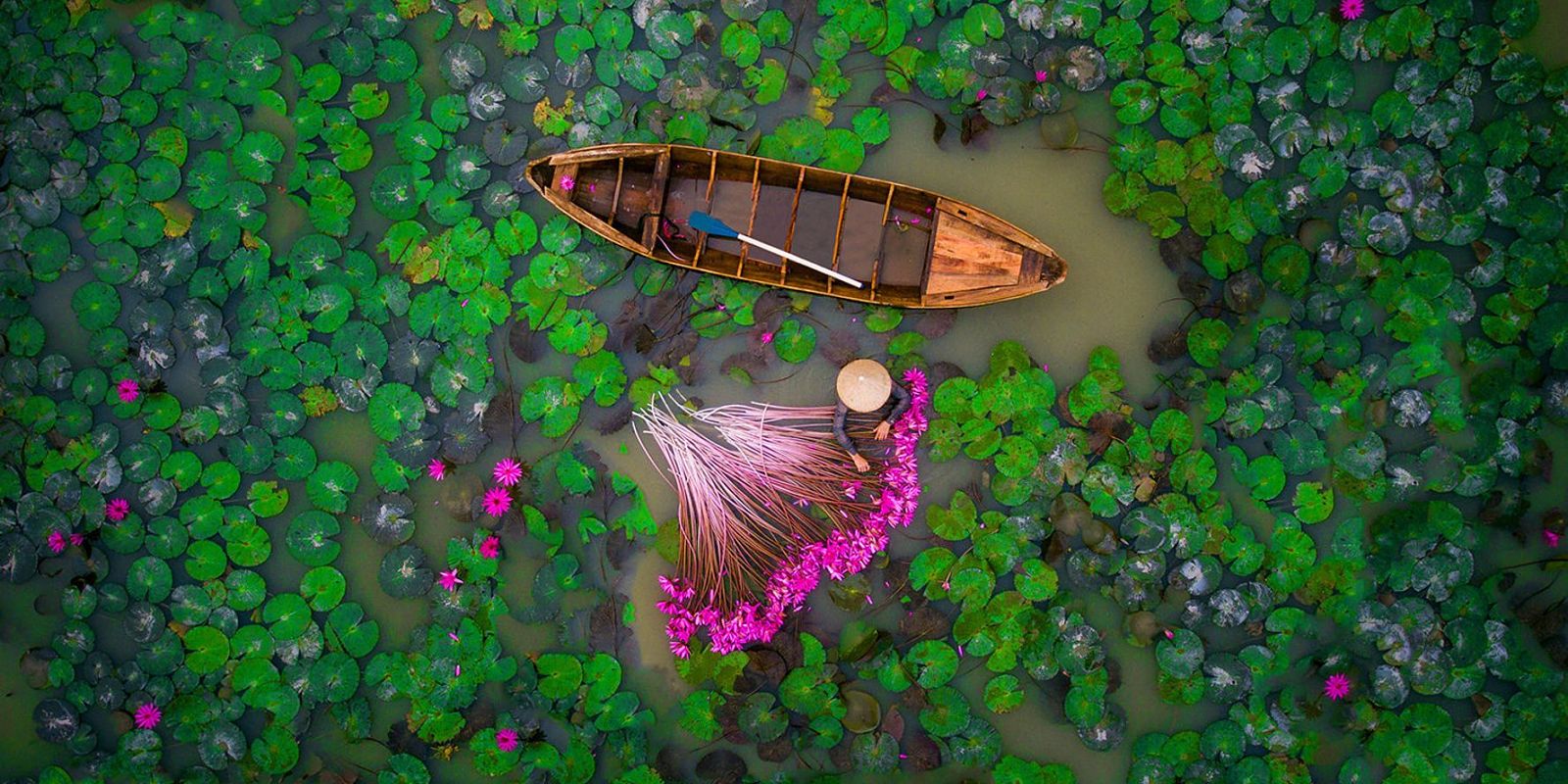 Mê mẩn Cần Thơ, tràn đầy tình yêu với "trái tim" của miền Tây sông nước